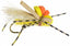 Bjorn's Hopper - Yellow - Xotic Camo & Fishing Gear -D-BJHY-size_6